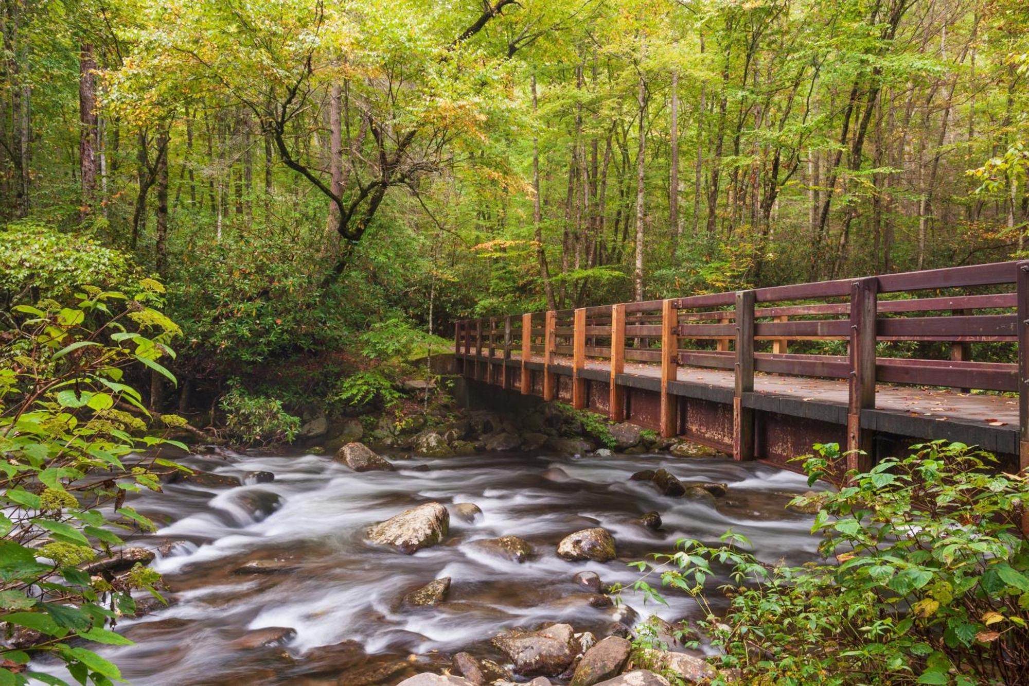 Moonshine Chalet, Hot Tub, Pool Access, Wifi, 1089 Free Tickets Each Paid Day, Dollywood And More Gatlinburg Eksteriør billede